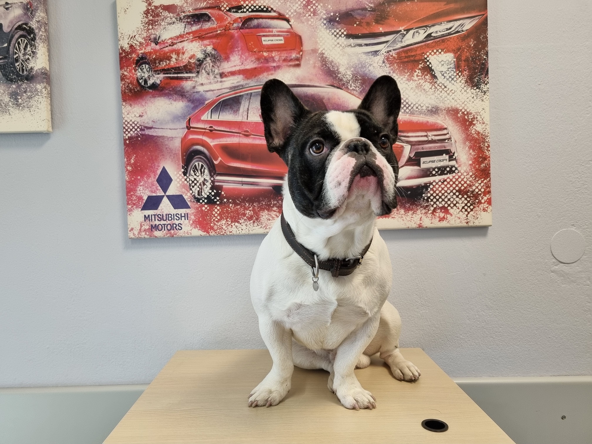 Anton vom Autohaus Hielscher
